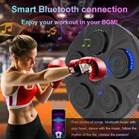 Punch d'entraînement factice mural Kick Smart Target Punching Pad Music Boxing Machine
