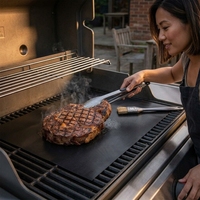 Ensemble de tapis de cuisson pour barbecue au charbon de bois en PTFE antiadhésif réutilisable, résistant à la chaleur jusqu'à 360 degrés Celsius, avec pince et brosse pour grillades