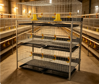 Cage à poulets à 3 niveaux et 2 portes, pour 60 oiseaux, avec design surélevé