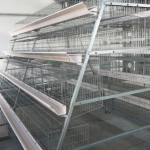 Một Loại Pin Lớp Gà Lồng Tự Động Trứng Gia Cầm Thiết Bị Nông Nghiệp Hệ Thống Cho Gia Cầm Trang Trại Sử Dụng - Product Image 5