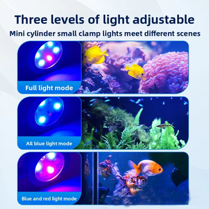 Riff <span class=keywords><strong>Aquarium</strong></span> LED-verlichting met volledig spectrum & timer voor koraal LPS/SPS, <span class=keywords><strong>aquarium</strong></span> clip-on lamp met lens, 5.2W zoutwaterverlichting - Product Image 3
