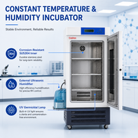Incubateur de laboratoire professionnel à température et humidité constantes pour essais d'humidification, 160L, pour la recherche sur les semences et les plantes