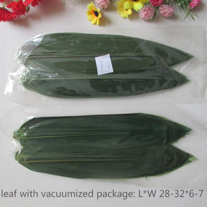Foglie <span class=keywords><strong>di</strong></span> Bambù Fresche Verdi Confezionate Sottovuoto Foglie <span class=keywords><strong>di</strong></span> Bambù per Sushi - Product Image 2