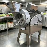 Dubbelkopige commerciële multifunctionele groentesnijder, -slicer en -shredder met 1 jaar garantie, afkomstig uit China