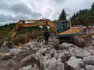 Excavadora de ruedas Hyundai 225LC-9T usada, Modelo 2020, 1, 2m3, capacidad de cubo, 22000kg, peso operativo, buenas condiciones, segunda mano para - Product Image 3