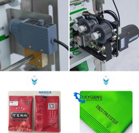 Machine d'emballage électrique automatique pour sachets de jus de tomate épais, machine de remplissage et de scellage pour liquides, pâtes et ketchup
