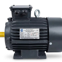 Motor Induksi AC Unicorn 223F 2 HP 2880 RPM 2 Kutub Tiga Fasa Pemasangan Kaki Tugas Berat Untuk Pabrik Rangka 90S Garansi 1 Tahun