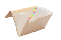 Carpeta Expandible A4 Biodegradable con 13 Bolsillos, Organizador de Documentos de PP con Banda Elástica para Oficina y Papelería, Pedido al por Mayor