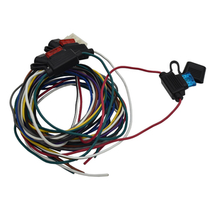 Кабельная сборка (жгут проводов) OEM/ODM на заказ с блоком предохранителей ISO для автомобилей, мотоциклов, TOYOTA - Product Image 4