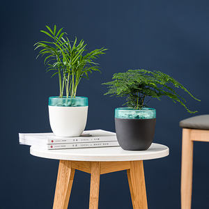 Vente en gros de pots de fleurs succulentes <span class=keywords><strong>paresseux</strong></span> à double couche en plastique bon marché avec arrosage automatique - Product Image 2