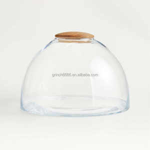 Das kuppel förmige Glaster rarium beherbergt Miniatur-Ökosysteme Pflanz vase Glaster rarium mit Holzdeckel - Product Image 5