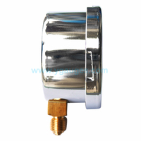 Stainless Steel & Brass Capsule Pressure Gauge with 100mm Dial for Measuring Micro and Negative Pressure