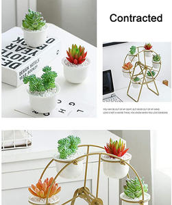 Soporte de Metal para plantas con 6 macetas suculentas, estante de exhibición decorativo moderno, envío directo - Product Image 3