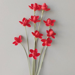 Flores de Orquídea Secas al por Mayor, Ramos de Flores Secas de Varios Colores, Accesorios de Fotografía, Decoración del Hogar <span class=keywords><strong>con</strong></span> Orquídeas - Product Image 4