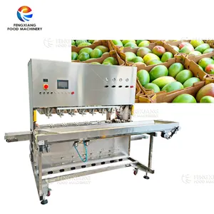 Commerciële Mango Dunschiller Corer Juicer Villen Peeling Mango Sap Puree Verpletterende Extractie Voedsel Fruit Drank Verwerkingslijn