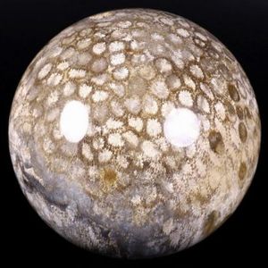 Esfera de Coral Fósil Natural Pulido al por Mayor, Piedra de Cristal Curativa para Decoración del Hogar y Regalos - Product Image 5