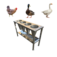 Table de saignée MD haute performance pour l'abattage de pigeons et de cailles, fabriquée en Chine, garantie 1 an, dimensions personnalisables, certifiée