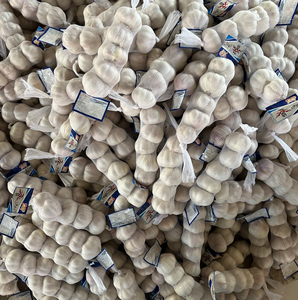 Vụ mùa mới thu hoạch tỏi Trung Quốc - Product Image 5