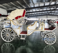 XCEGO Prix usine Voiturette de tourisme Victoria électrique à 4 roues en acier avec batterie au plomb pour transport spécial et mariages