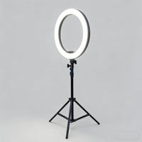 Lampe vidéo LED 14 pouces avec trépied, alimentation CA, contrôle filaire, luminosité et température de couleur réglables, lumière d'appoint pour maquillage et YouTube