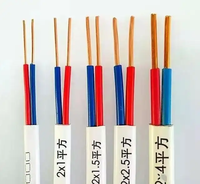 BVVB Kupferkern PVC-isoliertes Flachkabel 2-adrig 2*1,5mm-2*6mm 300/500V Hausverkabelung Anpassbare Länge China Großhändler