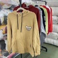Lots de sweats à capuche d'occasion pour boutiques – Vente en gros de sweats à capuche de seconde main pour la revente