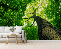 Nature personnalisé photo papier peint extra large 3D nature paysage peintures murales paysage jungle pour bureau salle de réception
