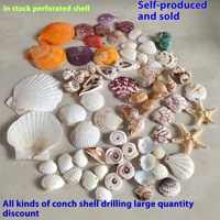 Coquillages Naturels Blancs et Multicolores en Forme de Coquille Saint-Jacques, Étoile de Mer, Corail, Coque de Coquillage, Perceés, Semi-Finies, pour la Fabrication Artisanale de Perles Libres