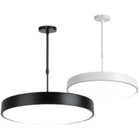 Lustre suspendu rond en panneau nordique à LED, en fer et acrylique, pour salon, décoration intérieure, lampe suspendue moderne pour plafond