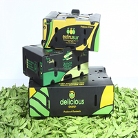 Boîte personnalisée en plastique ondulé PP Corflute pour okra, format A4, boîte pour asperges/okra, boîte d'emballage en plastique ondulé Corriboard Danpla