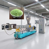 Machine à fabriquer du riz artificiel, extrudeuse à double vis pour la production de riz instantané fortifié, équipement de ligne de production