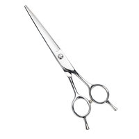 Ciseaux de coupe de cheveux professionnels de 6.5 pouces Ciseaux de coiffeur à bord convexe japonais