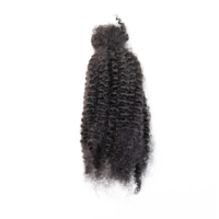 Cheveux Humains Texture Crépue Mèches Humaines Rasta Vente En Gros Tressage Cheveux Twist Cheveux En Vrac Afro Crépus En Vrac Cheveux Humains