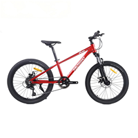 Rangka Aluminium Alloy 7-Speed Rem Cakram Ganda Sepeda Gunung M22 Chasing Wind 22-inci Tanpa Suspensi