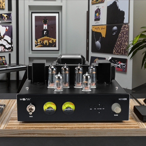 Tùy chỉnh mô hình MN210-MU nhà khuếch đại cho <span class=keywords><strong>Analog</strong></span> các khóa học 6p1 ống kết nối Receiver vật liệu kim loại cho giai đoạn sử dụng - Product Image 2