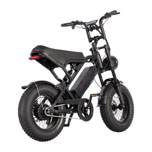 Bicicleta Eléctrica V20 Mini 250W 36V de Rueda Ancha de 16 Pulgadas Estándar UE en Stock en Almacén de la UE - Product Image 3