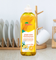 Rayshine Eco-friendly Kitchen Cleaning Supply Parfum de gingembre Détergent liquide pour vaisselle Détergent pour fruits en vrac 500 g