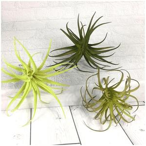 Nhân Tạo Nhà Máy Nhỏ Thấp Moq Màu Xanh Lá Cây Giáng Sinh Trang Trí Trung Quốc Bó Hoa Nhà Mặc Quần Áo Trang Trí Hoa Và Cây - Product Image 3