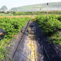 Barrière contre les mauvaises herbes paysage tissu Non tissé bloqueur de mauvaises herbes jardin aménagement paysager tissu rouleau noir plantes de jardin barrière couvre lourd