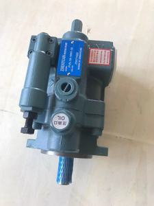 ปั๊มไฮดรอลิกแบบลูกสูบ PVS PVS-1B PVS-2B ซีรีส์ PVS-1B-16/22C3A4-U-12 PVS-2B-35C3A4-U-12 - Product Image 6