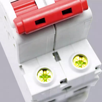 Disyuntor Delixi Dz47s 2P Interruptor de aire C32A Corriente nominal Protección doméstica Fuga Tipo C RCBO/MCB Cobre