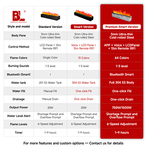 Hộ gia đình điều khiển từ xa hơi nước lò sưởi treo tường dẫn ánh sáng ngọn lửa lửa nơi trang trí 3D hơi nước Lò sưởi điện - Product Image 4