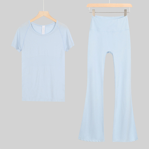 Women's High Elastic Spring T-Shirt Short-Sleeved Fitness <b>Top</b> Blouse Quick-Drying Yoga Wear Two-Piece Set Breathable Plus Size - Product Image 4