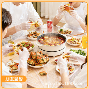 Intco Pe Three Piece Set Disposable Tablecloth Apron Gloves Camping Picnic Outdoor Use - Product Image 4