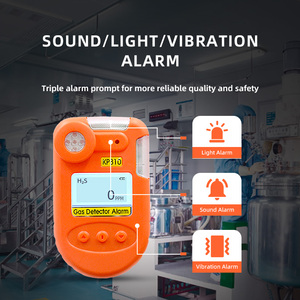 가스 파이프 누출 감지기 BW 클립 H2S 황화수소 모니터 - Product Image 2