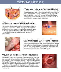 Physiotherapy Anti Inflammatory Deep Tissue Laser Device for <strong>Nerve</strong> Repair Athletic Injuries and Upper Back Pain - Product Image 2