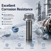 Boulon à bride hexagonale en titane GR1 GR2 GR5 M10-M36 pour bride de pipeline chimique ASME B16.5, résistant à la corrosion, OEM