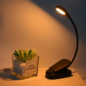 Luz de livro com função de temporização, LED 120lm, mini luz de leitura com clipe, recarregável por USB, para leitura na cama, novidade de 2024