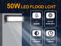 Reflector LED Inteligente con IA de 220LM/W y 11000LM, Diseño Personalizado WERISE, Aluminio, IP66, para Áreas Marinas y Costeras
