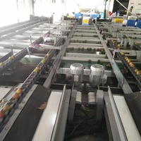 Sorteermachine voor appels, uien, citrusvruchten en groenten